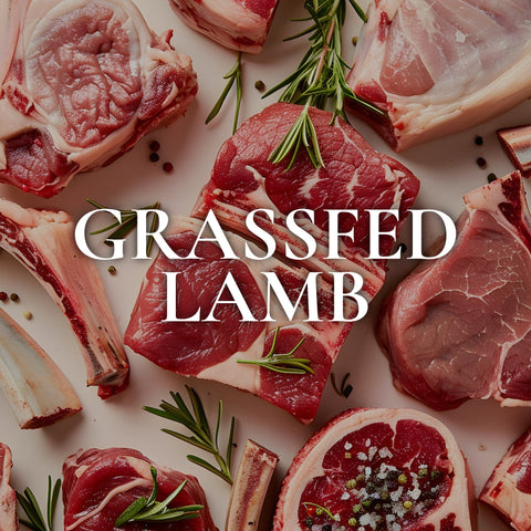 Lamb